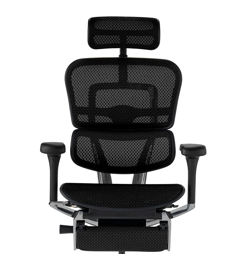 Ergohuman Chair