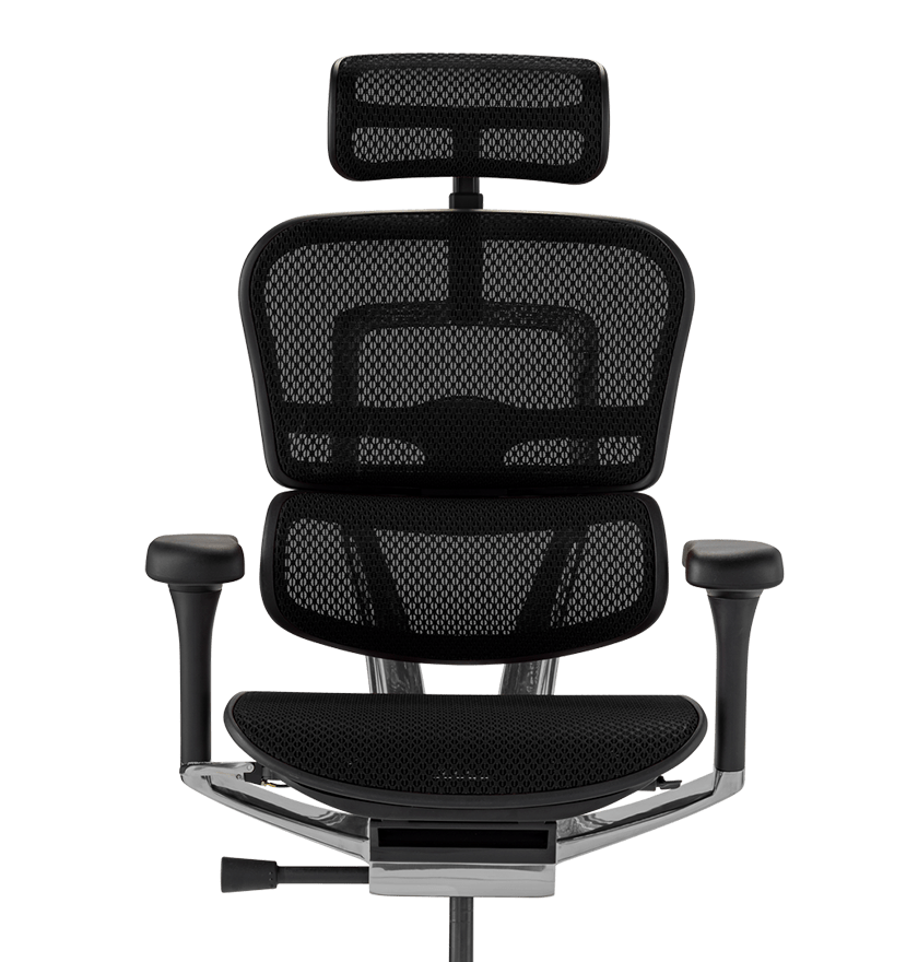 Ergohuman Chair