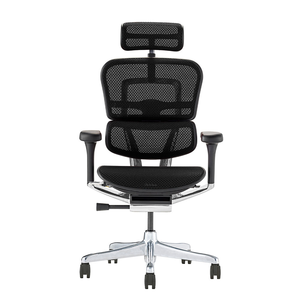関家具 Ergohuman(エルゴヒューマン) PRO2 EHP2-HAM-DR-BF-BK ブラック